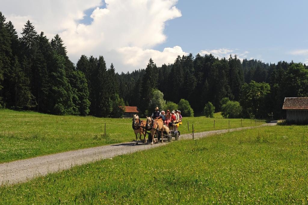Hotel Bergblick Scheidegg Bagian luar foto